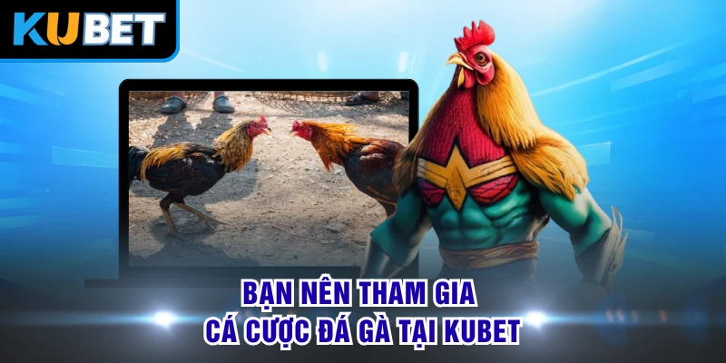Nên áp dụng kinh nghiệm tham gia cá cược đá gà hiệu quả
