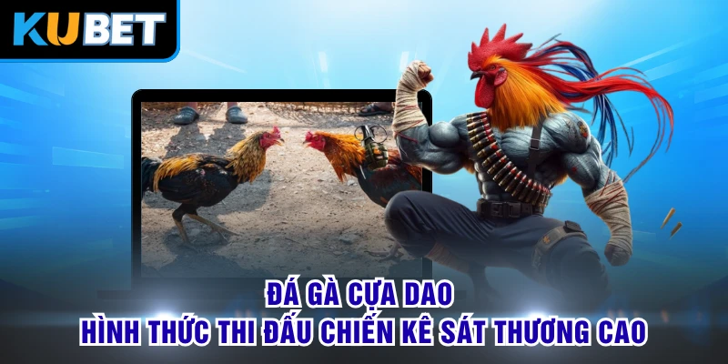 Đá Gà Cựa Dao - Hình Thức Thi Đấu Chiến Kê Sát Thương Cao