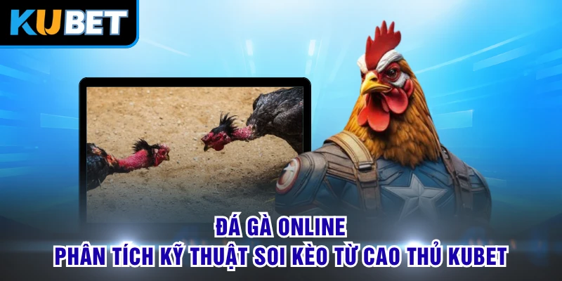 Đá Gà Online - Phân Tích Kỹ Thuật Soi Kèo Từ Cao Thủ KUBET