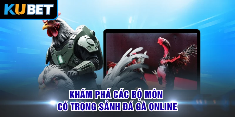 Khám phá các bộ môn có trong sảnh đá gà online
