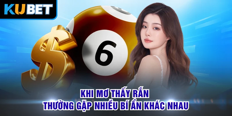 Khi mơ thấy rắn thường gặp nhiều bí ẩn khác nhau