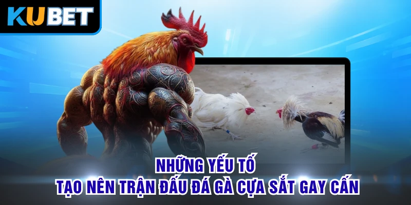 Những yếu tố tạo nên trận đấu đá gà cựa sắt gay cấn