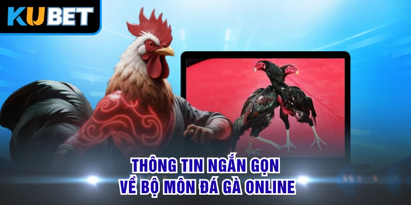 Thông tin ngắn gọn về bộ môn đá gà online